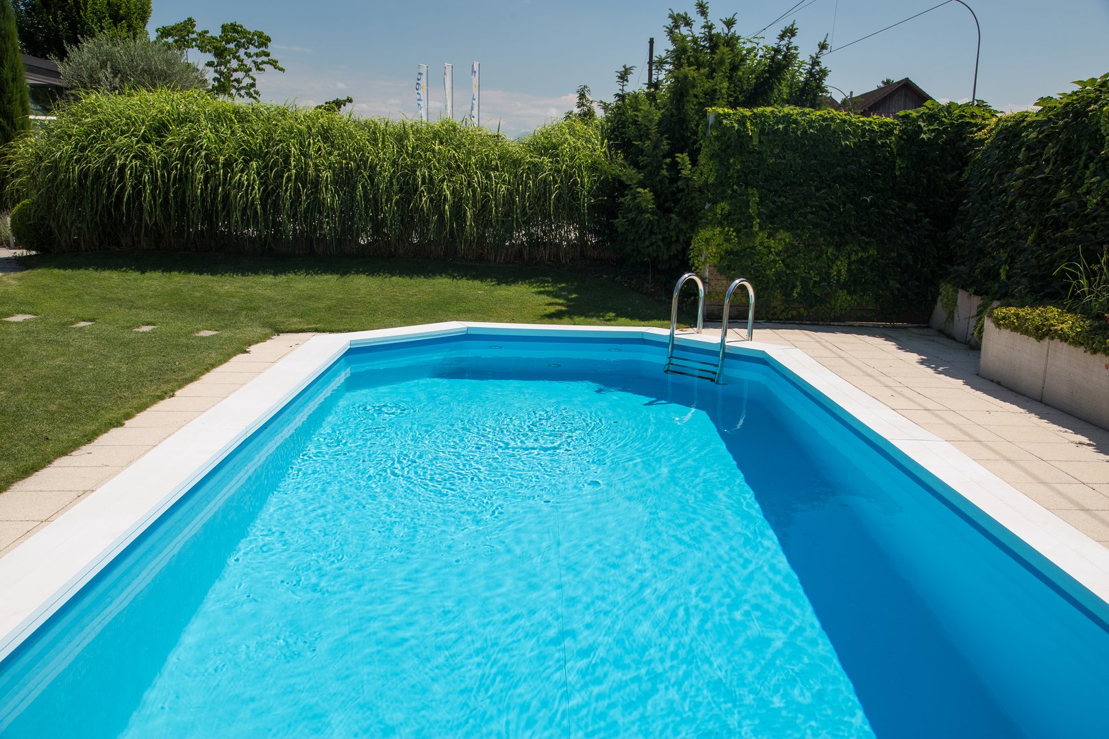 SICOLPOOL - Imagen 2